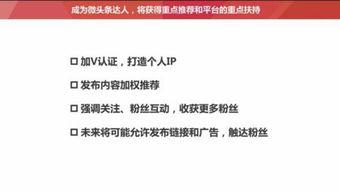 新闻头条文章的尺寸标准,深度解析最新尺寸标准，引领行业新风向