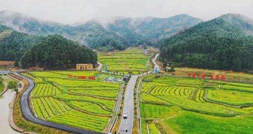 江西新余旅游网红地址,探寻网红打卡地的魅力之旅