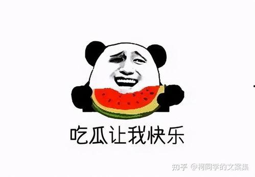 吃瓜群众文案搞笑短句,吃瓜群众文案搞笑短句大盘点